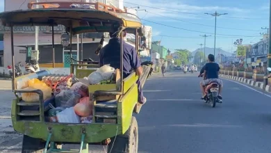 Cidomo di Kota Mataram