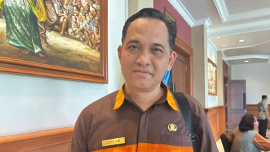 Penanaman Jagung di Kawasan Hutan