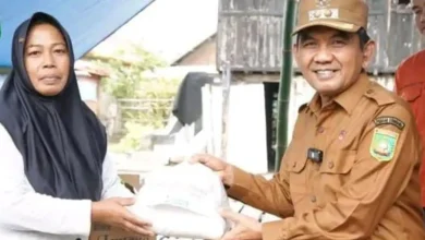 Ansori tinjau kebakaran