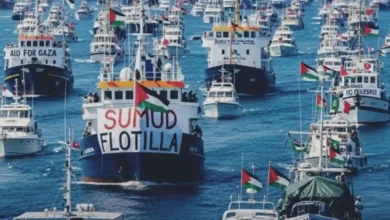 Ilustrasi kapal misi kemanusiaan Global Sumud Flotilla (GSF) yang dicegat Israel.