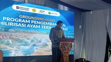 Bupati Sumbawa, Syarafuddin Jarot, saat memberikan sambutan acara Groundbreaking Program Pengembangan Hilirisasi Ayam Terintegrasi, Jumat, 6 Februari 2026.