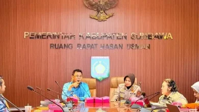 Persiapan Panen Raya Jagung di Sumbawa