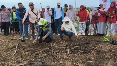 Program Sumbawa Hijau Lestari