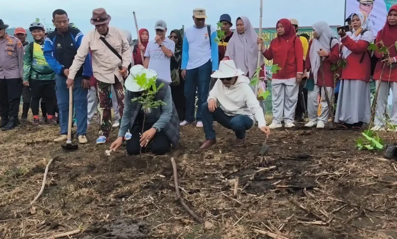 Program Sumbawa Hijau Lestari