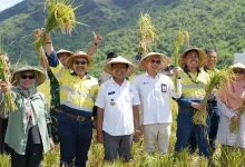 Petani KSB Raup Panen Dua Kali Lipat bersama AMMAN