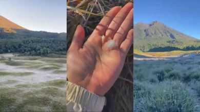 Kondisi Savana Propok di jalur pendakian Gunung Rinjani, Senin, 1 Juni 2026.