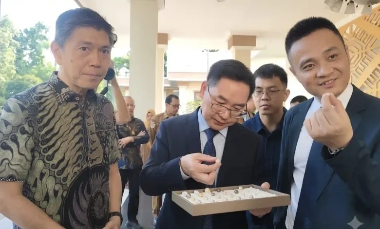 Delegasi Pengzhou, China melakukan kunjungan resmi ke Mataram pada Selasa, 23 Juni 2026. Wakil Wali Kota Pengzhou, Qiu Hong (tengah) melihat koleksi mutiara pengrajin Kota Mataram.