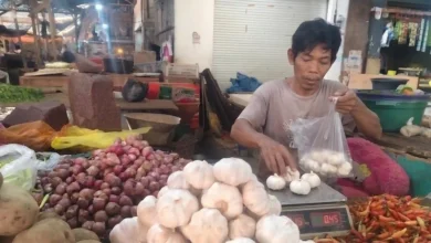Nurmansyah, pedagang bawang di Pasar Kebon Roek, Ampenan, Kota Mataram, menimbang bawang putih dagangannya.