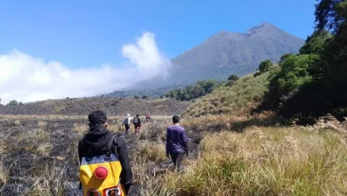 Kondisi kawasan non-pendakian Savana Propok, Kawasan TNGR, setelah dilanda kebakaran, Rabu, 3 Juni 2026.