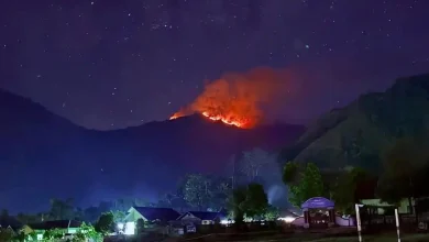Pemandangan Bukit Sempana Lombok Timur saat terbakar, Selasa, 9 Juni 2026.