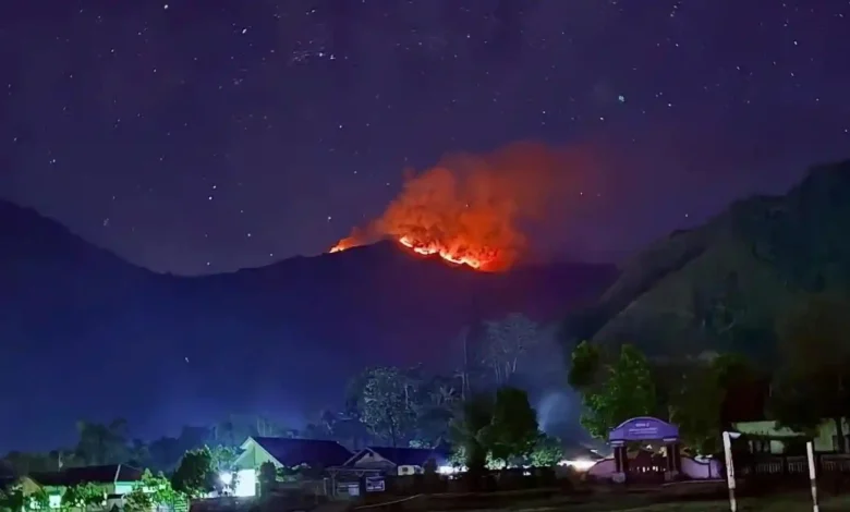 Pemandangan Bukit Sempana Lombok Timur saat terbakar, Selasa, 9 Juni 2026.