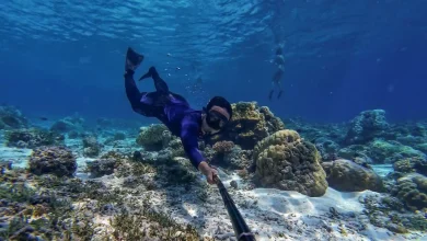Wisatawan saat snorkling di perairan Gili Trawangan yang diduga tercemar bakteri E Coli.