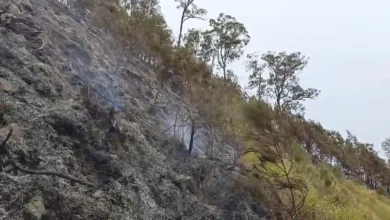 Kondisi Bukit Sempana di kawasan Hutan Lindung Sembalun setelah mengalami kebakaran selama tiga hari, Kamis, 11 Juni 2026. Foto: Dok. BKPH Lombok Timur
