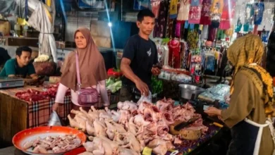 Pedagang Ayam Ras di Pasar Kebon Roek Ampenan sedang melayani pelanggan.