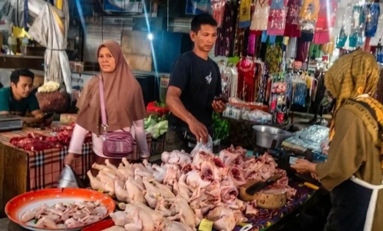 Pedagang Ayam Ras di Pasar Kebon Roek Ampenan sedang melayani pelanggan.