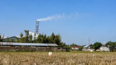 Asap yang terlihat keluar dari bangunan TPST Senteluk, Batu Layar, Juli 2026.
