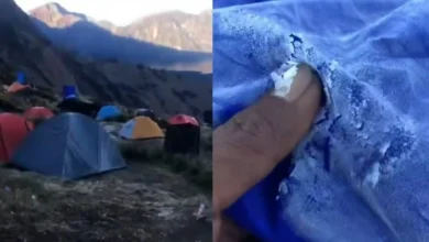 Penampakan fenomena embun es di kawasan Gunung Rinjani yang menutupi hamparan rumput hingga tenda pendaki.