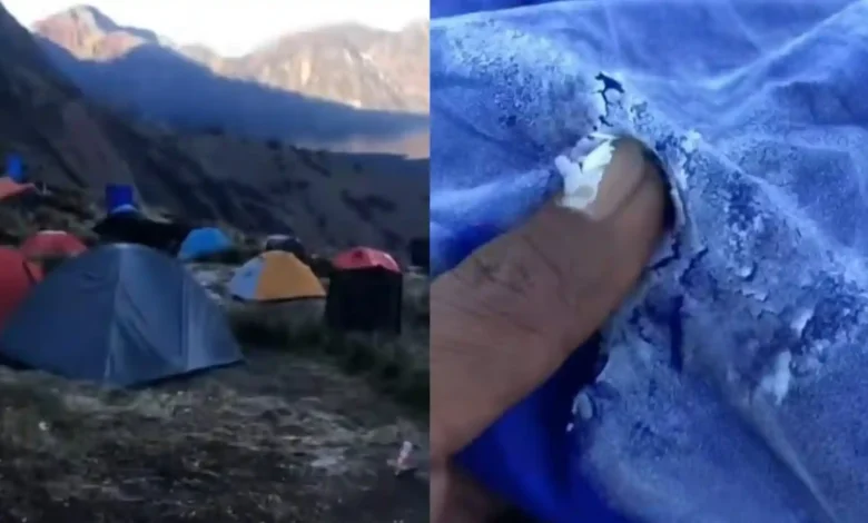 Penampakan fenomena embun es di kawasan Gunung Rinjani yang menutupi hamparan rumput hingga tenda pendaki.