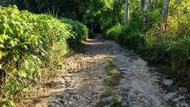 Kondisi jalan berbatu sepanjang 3,5 Kilometer menuju lokasi basecamp dan parkiran Bukit Anak Dara yang kerap dikeluhkan pendaki, Sabtu, 4 Juli 2026.