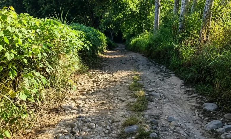 Kondisi jalan berbatu sepanjang 3,5 Kilometer menuju lokasi basecamp dan parkiran Bukit Anak Dara yang kerap dikeluhkan pendaki, Sabtu, 4 Juli 2026.