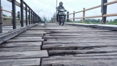 Kondisi kayu di Jembatan Cemara, Lembar Selatan yang sudah mulai lapuk pada Februari 2026.