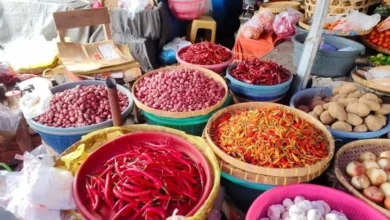 Komoditas Cabai dan bawang merah menjadi salah satu penyumbang inflasi terbesar di NTB.