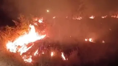 Kebakaran melanda kawasan Sembalun pada Jumat, 7 Agustus 2026.