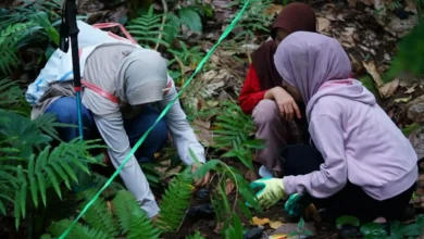 Publikasi Scopus hasil penelitian Unram memperkuat kontribusi terhadap SDGs.