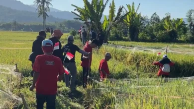 Puluhan wartawan bersama peserta menyusuri pematang sawah di Kecamatan Brang Ene saat menjajal rute jogging track Wisata Kerakyatan Tiu Suntuk, Sabtu, 8 Agustus 2026.
