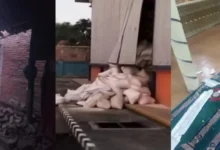 Kolase foto kerusakan sejumlah bangunan di Kota Bima usai gempa magnitudo 7,7 mengguncang NTT.