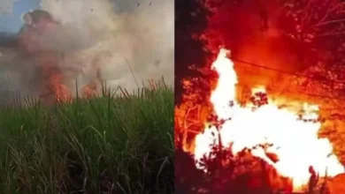 Kolase foto kebakaran selama seminggu terakhir di NTB.