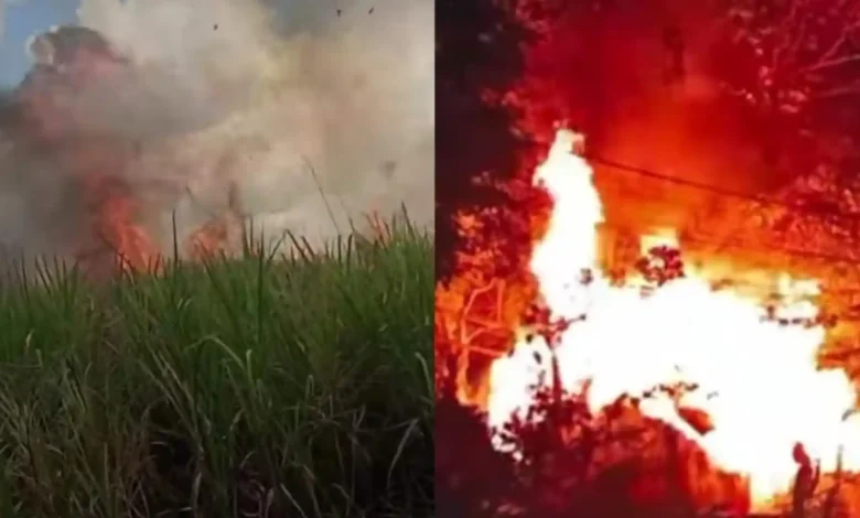 Kolase foto kebakaran selama seminggu terakhir di NTB.