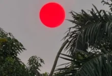 Penampakan matahari merah di Kalimantan akibat karhutla.