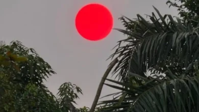 Penampakan matahari merah di Kalimantan akibat karhutla.