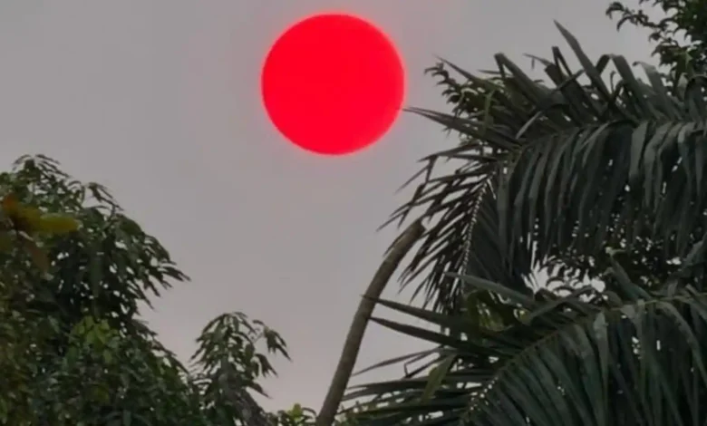 Penampakan matahari merah di Kalimantan akibat karhutla.