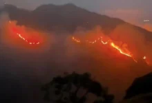 Potret kebakaran lahan di kawasan Gunung Rinjani.