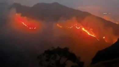 Potret kebakaran lahan di kawasan Gunung Rinjani.