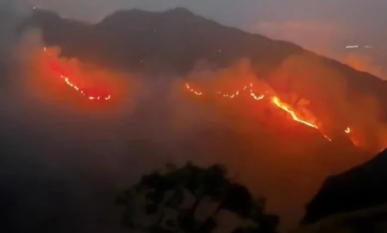 Potret kebakaran lahan di kawasan Gunung Rinjani.