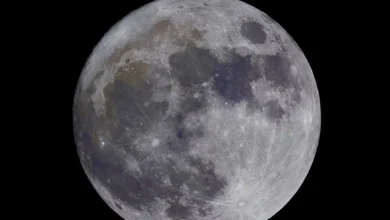 Ilustrasi fenomena Harvest Moon yang akan berlangsung Sabtu malam, 26 September 2026.