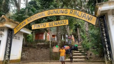 Pintu masuk pendakian Gunung Rinjani jalur Senaru.