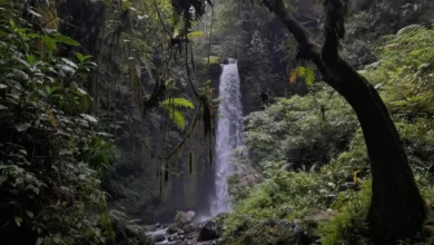 Air Terjun Mayung Polak, Pengadangan, Lombok Timur.