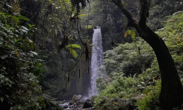 Air Terjun Mayung Polak, Pengadangan, Lombok Timur.