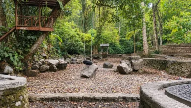 Kondisi terkini Wisata Alam Bunut Ngengkang yang ada di desa Buwun Sejati, September 2026.
