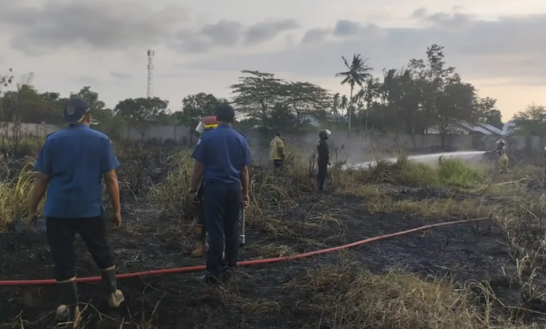 Petugas berhasil memadamkan kebakaran lahan seluas 10 hektare di Desa Lelede, Lombok Barat, Selasa, 8 September 2026.