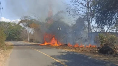 Kobaran api yang membakar lahan kering di pinggir jalan Labuhan Lalar, Taliwang, Sumbawa Barat, Rabu, 16 September 2026.