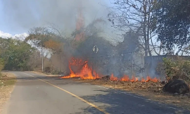 Kobaran api yang membakar lahan kering di pinggir jalan Labuhan Lalar, Taliwang, Sumbawa Barat, Rabu, 16 September 2026.