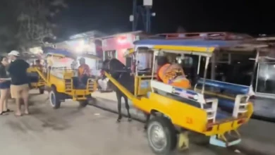 Gambaran transportasi cidomo yang menggunakan tenaga kuda di Gili Trawangan.