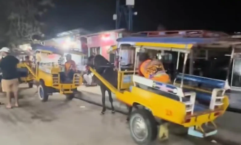 Gambaran transportasi cidomo yang menggunakan tenaga kuda di Gili Trawangan.