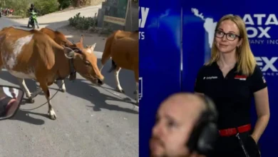 Momen saat Jennifer Duffee dari American Racing Team saat membagikan video kawanan sapi di jalan menuju Mandalika pada Rabu, 6 Oktober 2026.