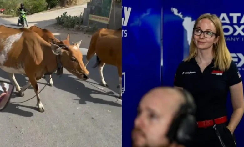 Momen saat Jennifer Duffee dari American Racing Team saat membagikan video kawanan sapi di jalan menuju Mandalika pada Rabu, 6 Oktober 2026.